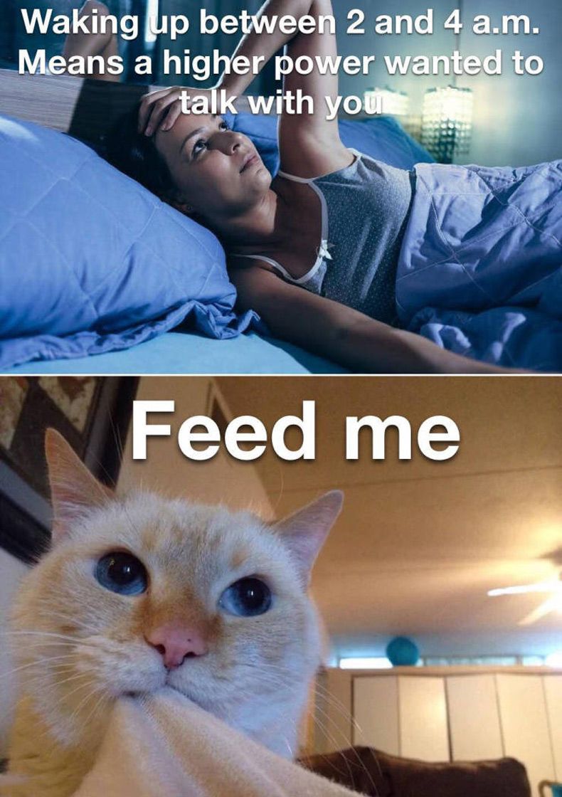 Gewoon een verzameling hilarische foto's #1545