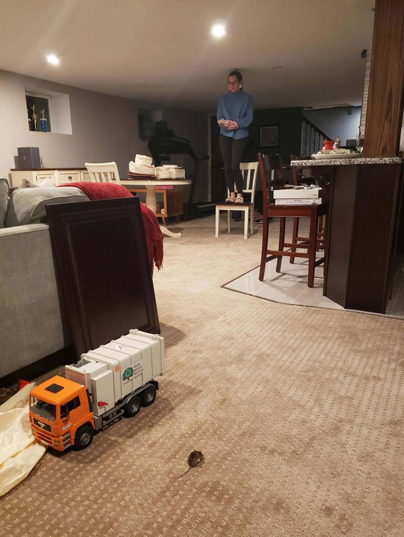 Gewoon een verzameling hilarische foto's #1545