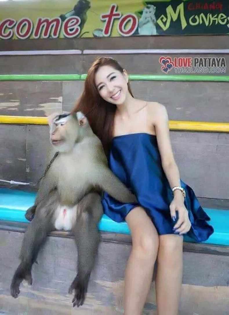 Gewoon een verzameling hilarische foto's #1545