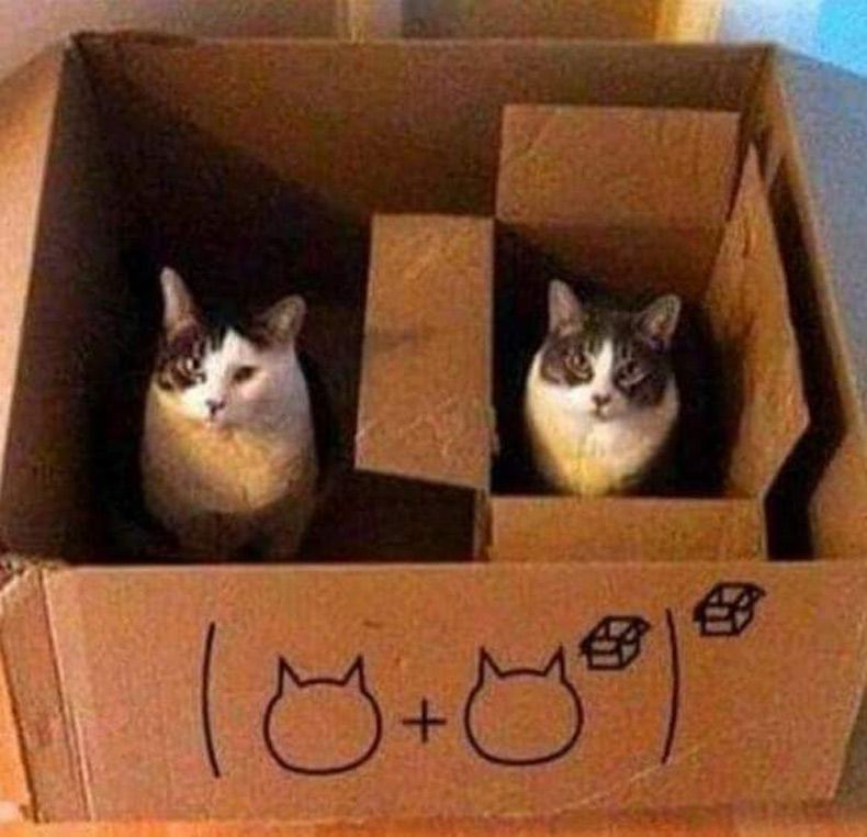 Gewoon een verzameling hilarische foto's #1545