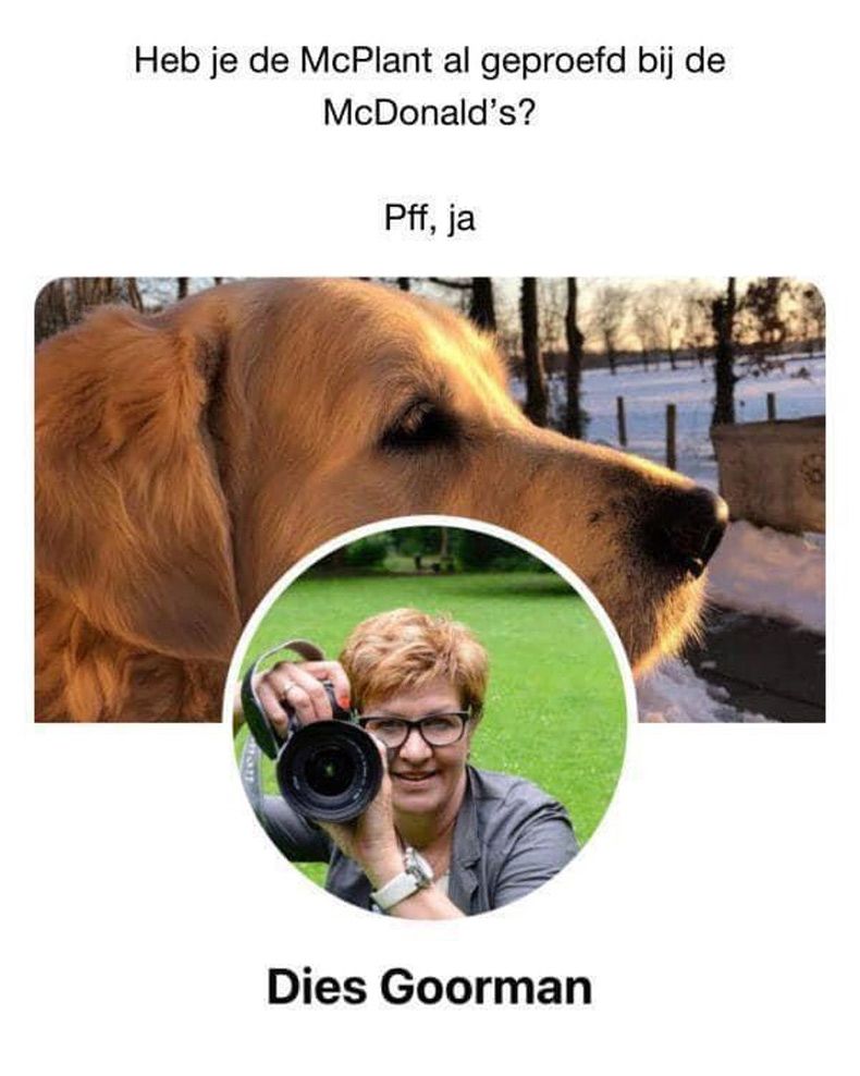 Gewoon een verzameling hilarische foto's #1545