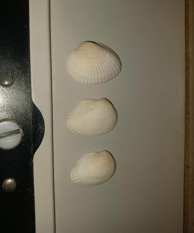 Gewoon een verzameling hilarische foto's #1545