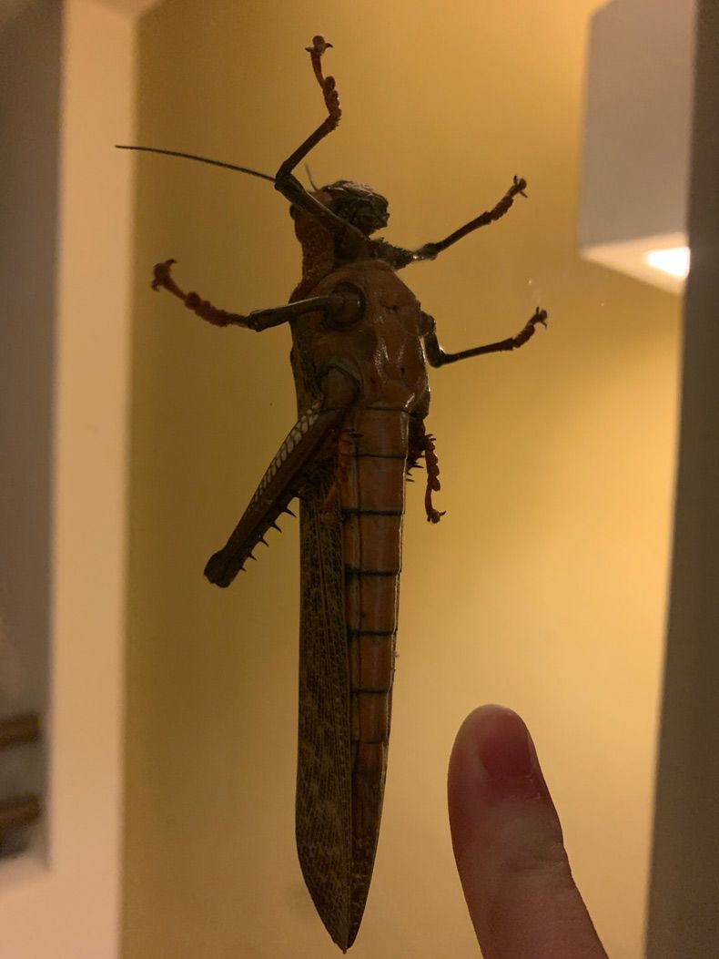 Gewoon een verzameling hilarische foto's #1545