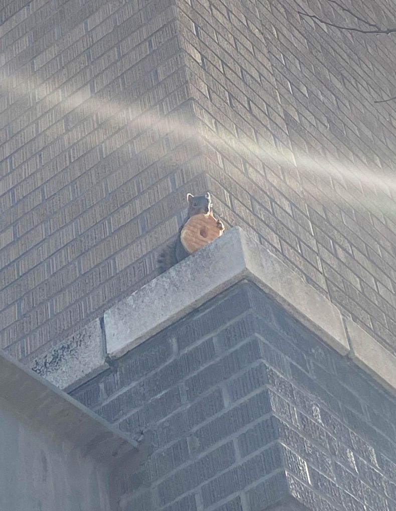 Gewoon een verzameling hilarische foto's #1546