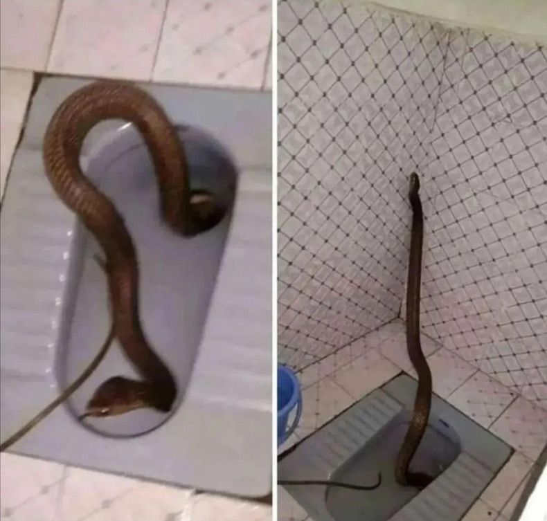 Gewoon een verzameling hilarische foto's #1550