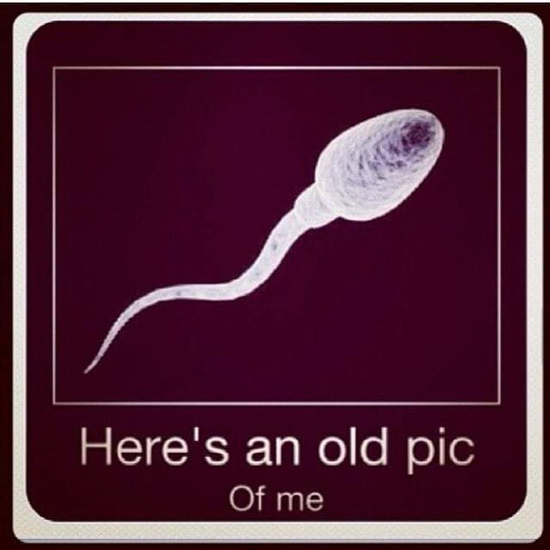 Gewoon een verzameling hilarische foto's #1550