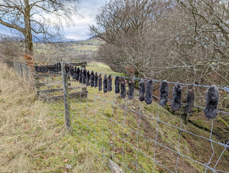 Gewoon een verzameling hilarische foto's #1550