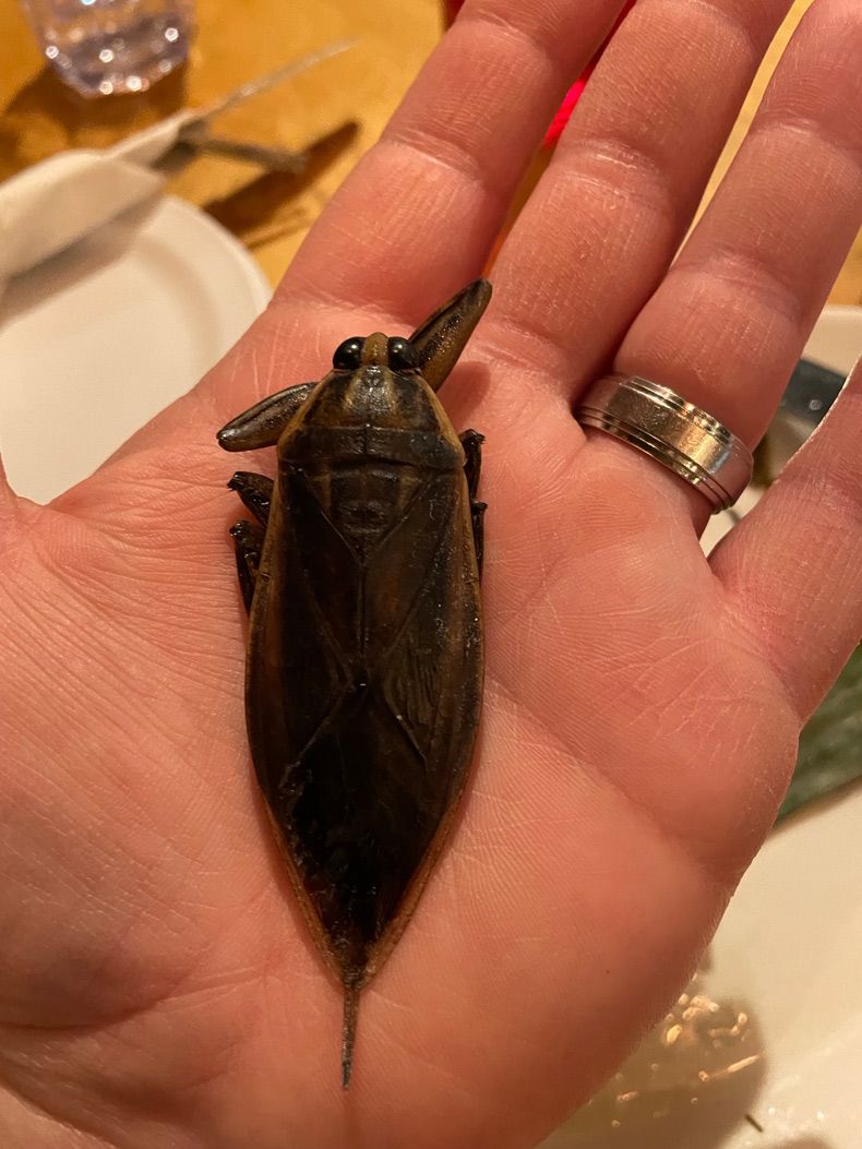 Gewoon een verzameling hilarische foto's #1550