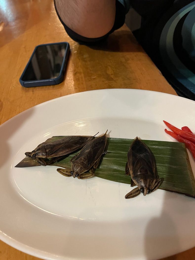 Gewoon een verzameling hilarische foto's #1550