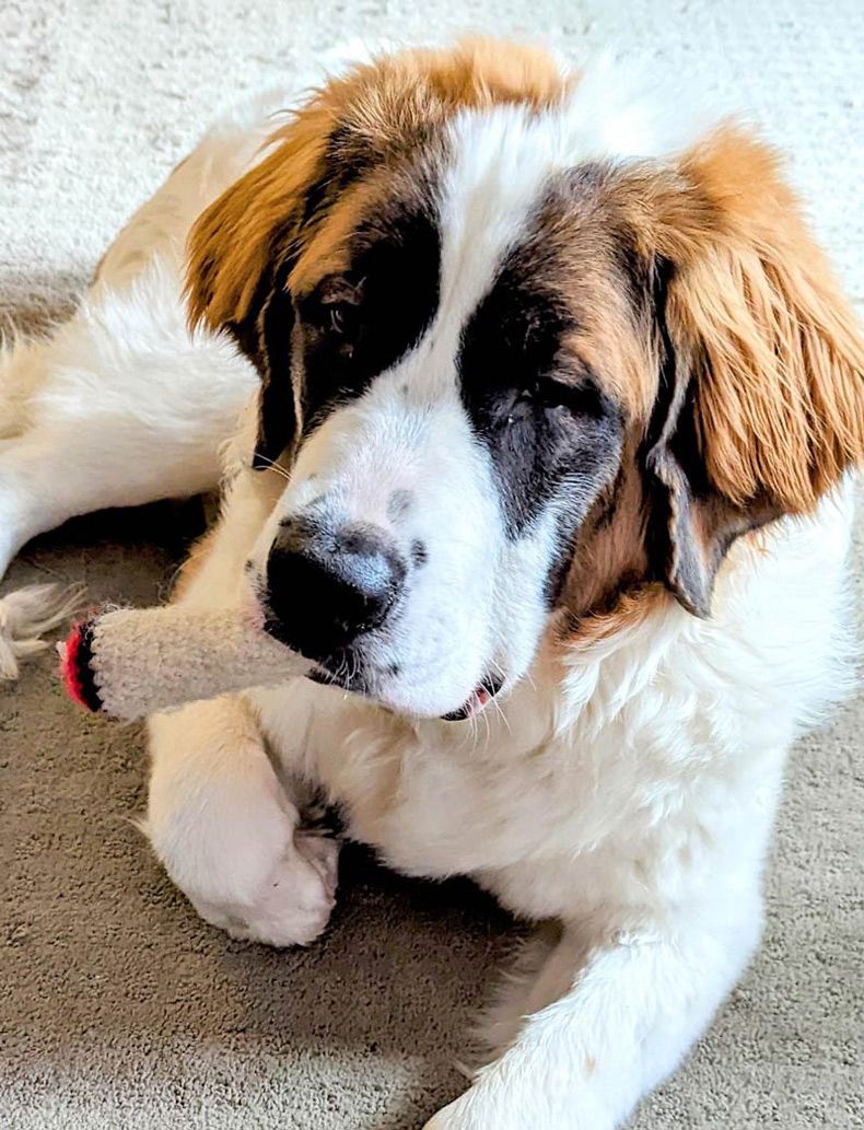 Gewoon een verzameling hilarische foto's #1550