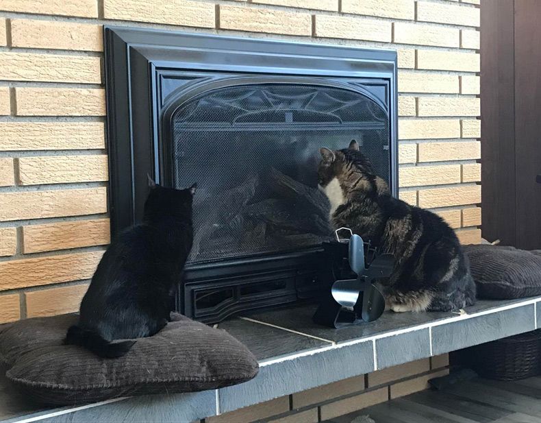 Gewoon een verzameling hilarische foto's #1550