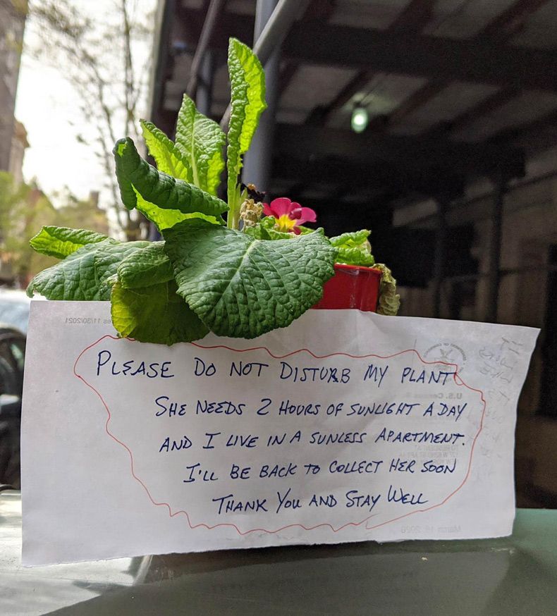 Gewoon een verzameling hilarische foto's #1550