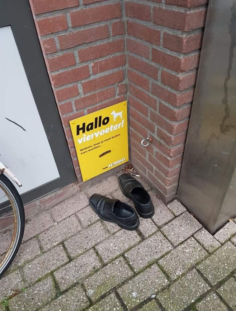 Gewoon een verzameling hilarische foto's #1550