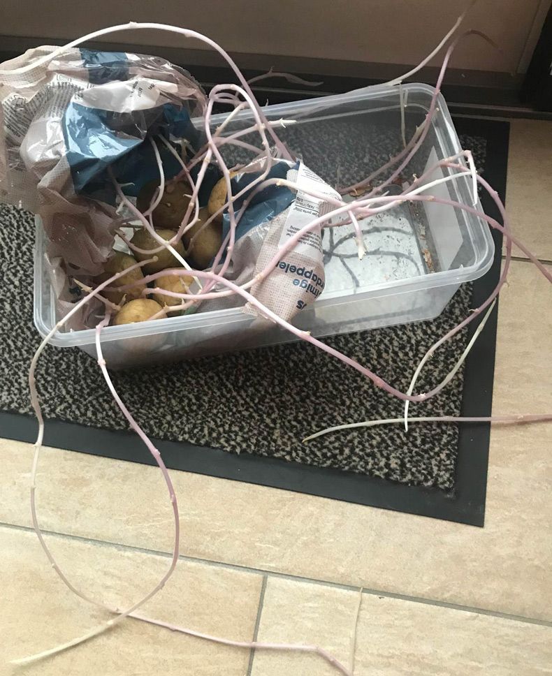 Gewoon een verzameling hilarische foto's #1550