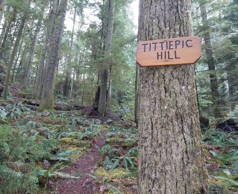 Gewoon een verzameling hilarische foto's #1550