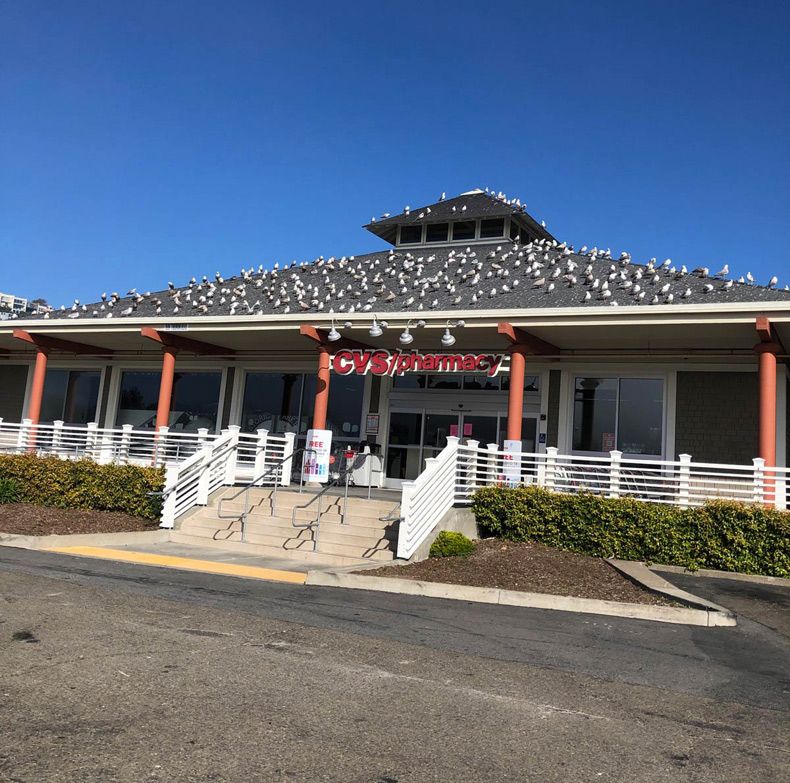 Gewoon een verzameling hilarische foto's #1550