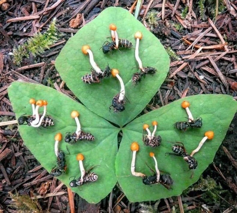 Gewoon een verzameling hilarische foto's #1550