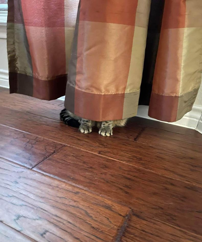 Gewoon een verzameling hilarische foto's #1552