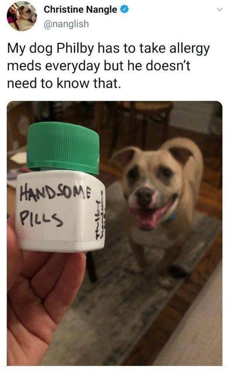 Gewoon een verzameling hilarische foto's #1552