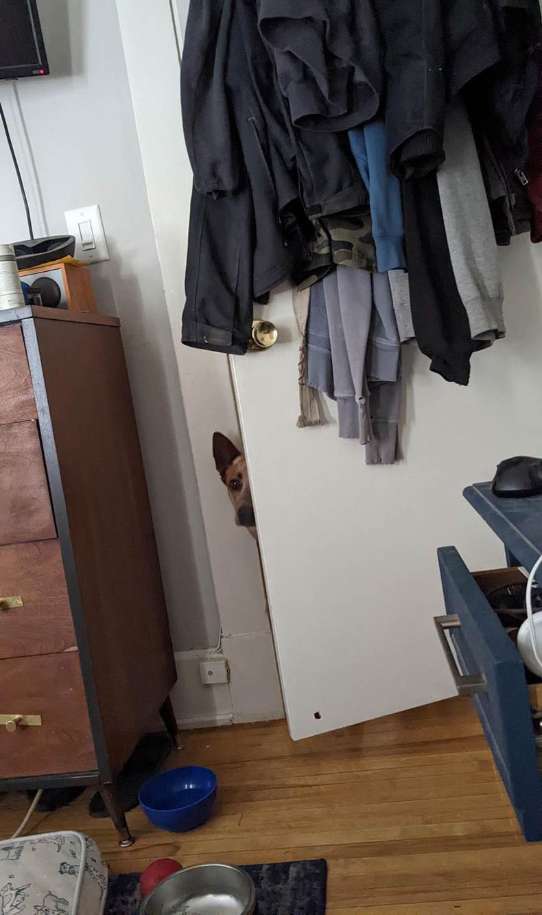 Gewoon een verzameling hilarische foto's #1552