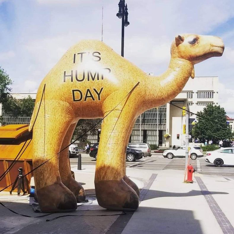 Gewoon een verzameling hilarische foto's #1552