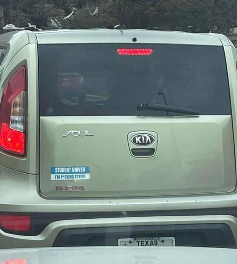 Gewoon een verzameling hilarische foto's #1552