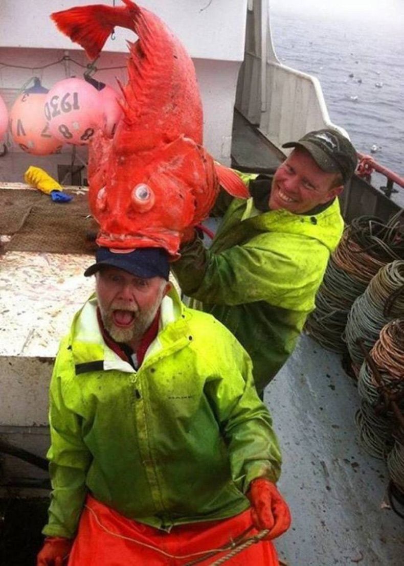 Gewoon een verzameling hilarische foto's #1556