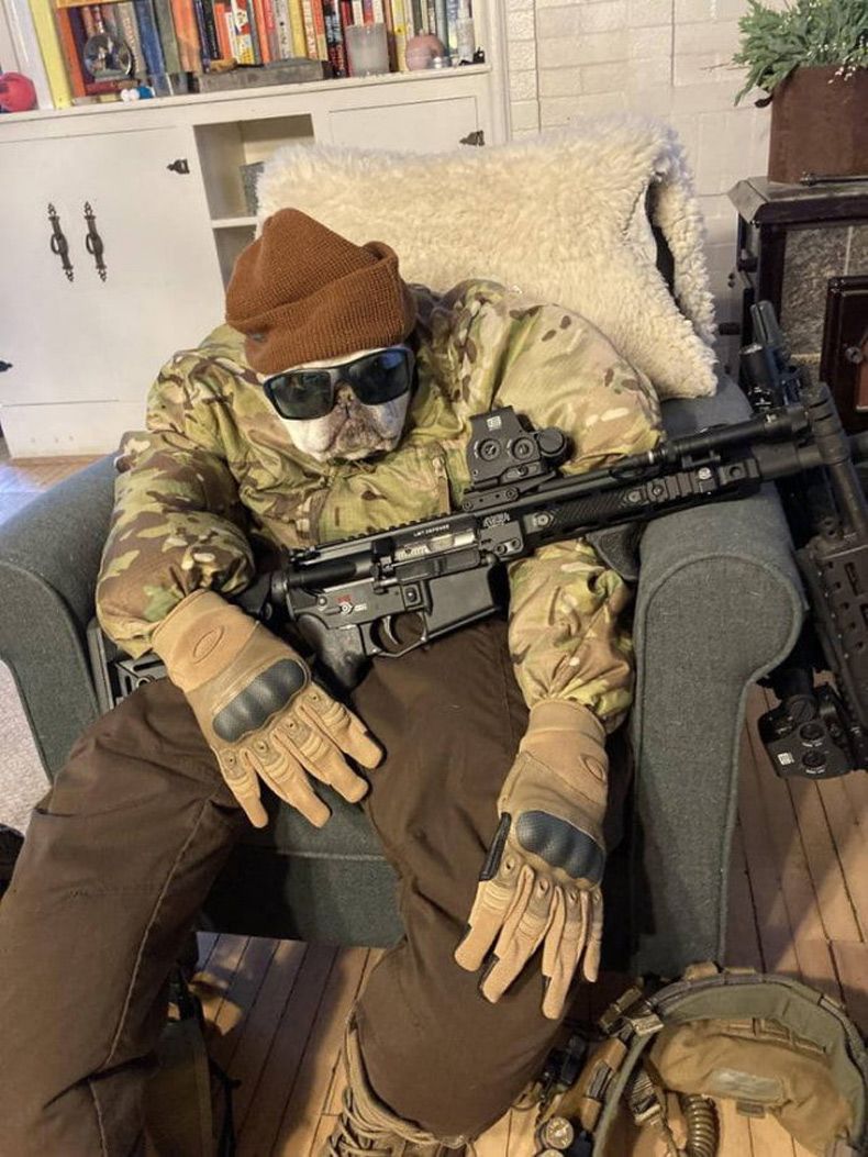 Gewoon een verzameling hilarische foto's #1556
