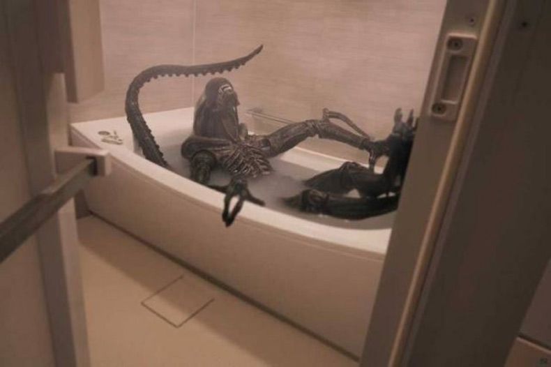Gewoon een verzameling hilarische foto's #1556