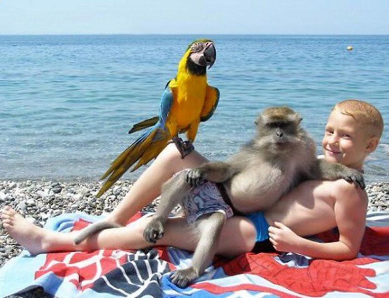 Gewoon een verzameling hilarische foto's #1556