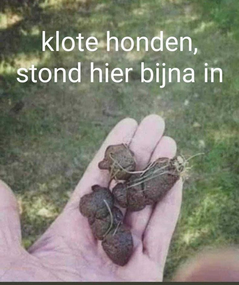 Gewoon een verzameling hilarische foto's #1556