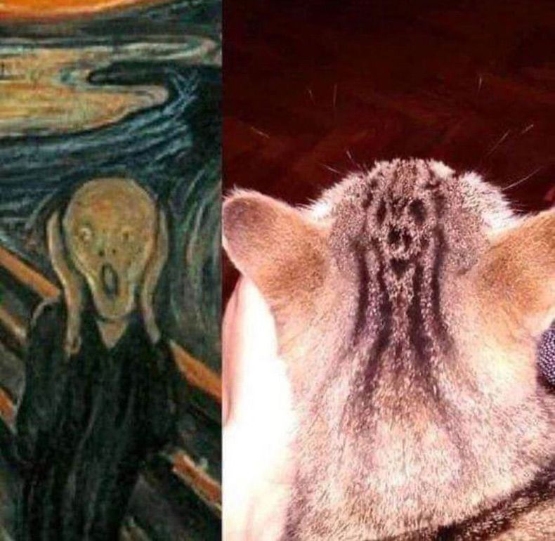 Gewoon een verzameling hilarische foto's #1556