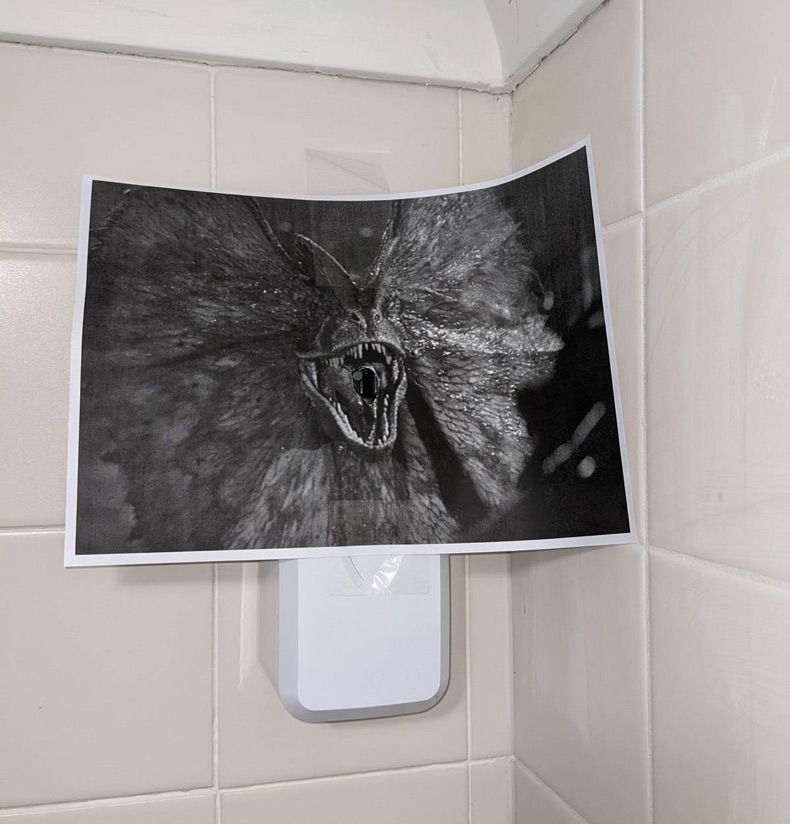 Gewoon een verzameling hilarische foto's #1556
