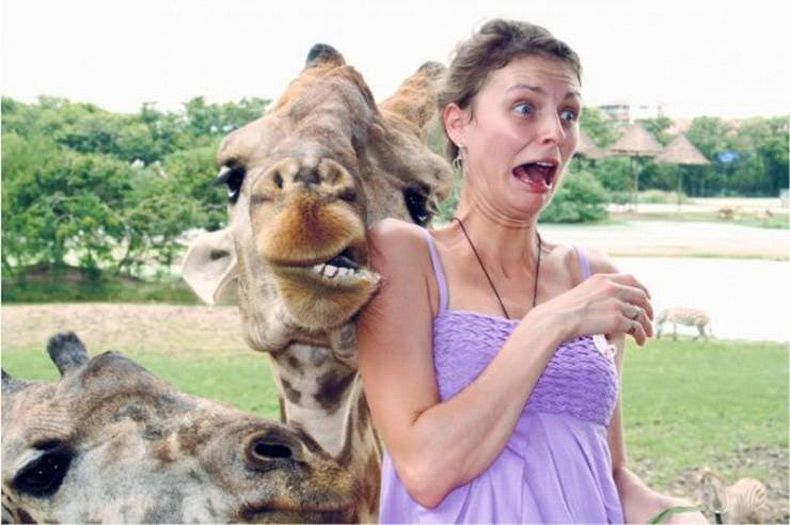 Gewoon een verzameling hilarische foto's #1557
