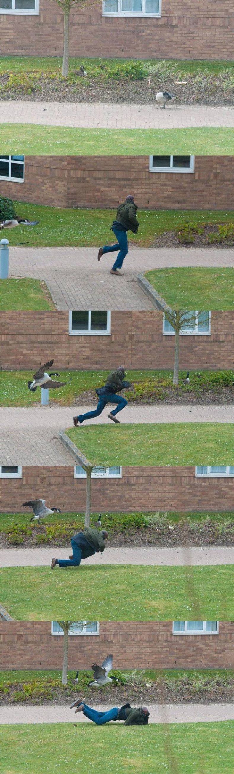 Gewoon een verzameling hilarische foto's #1558