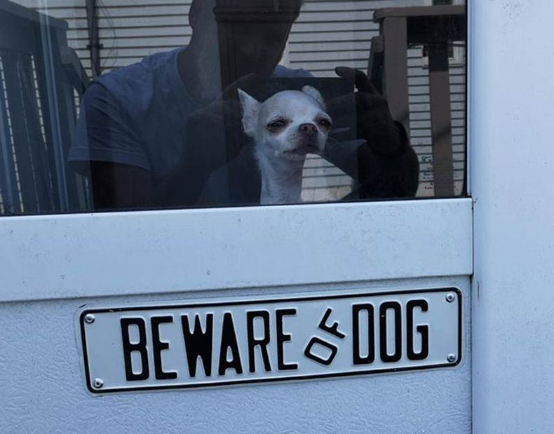 Gewoon een verzameling hilarische foto's #1558