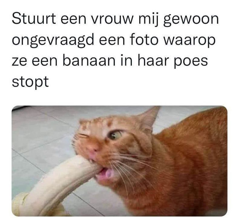 Gewoon een verzameling hilarische foto's #1558