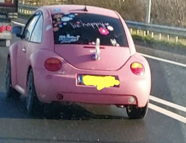 Gewoon een verzameling hilarische foto's #1559