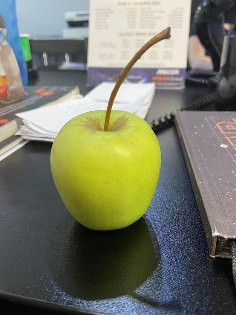 Gewoon een verzameling hilarische foto's #1559