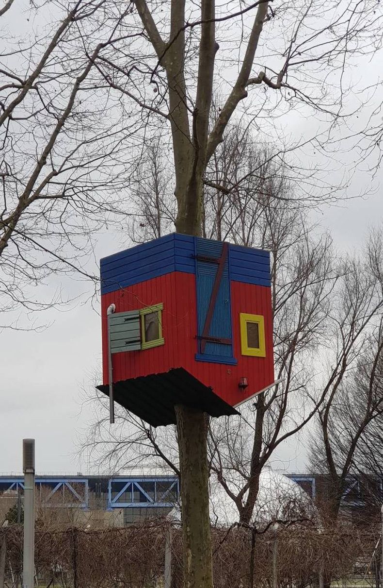 Gewoon een verzameling hilarische foto's #1559