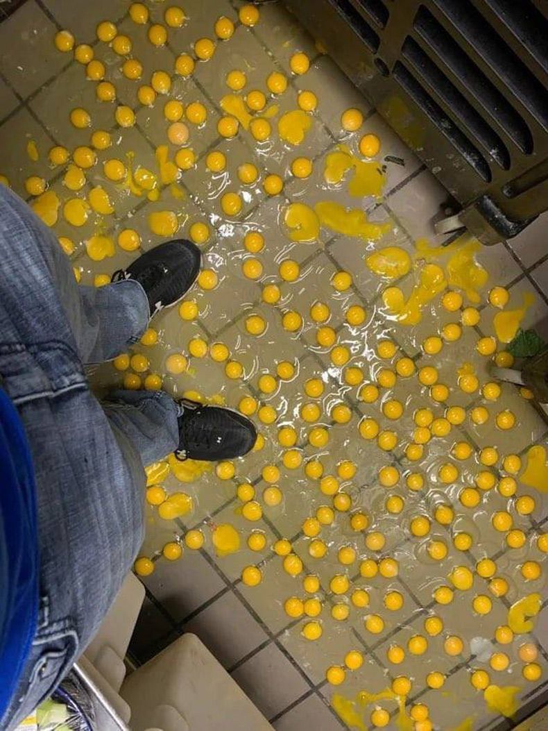 Gewoon een verzameling hilarische foto's #1559