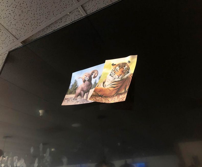 Gewoon een verzameling hilarische foto's #1559