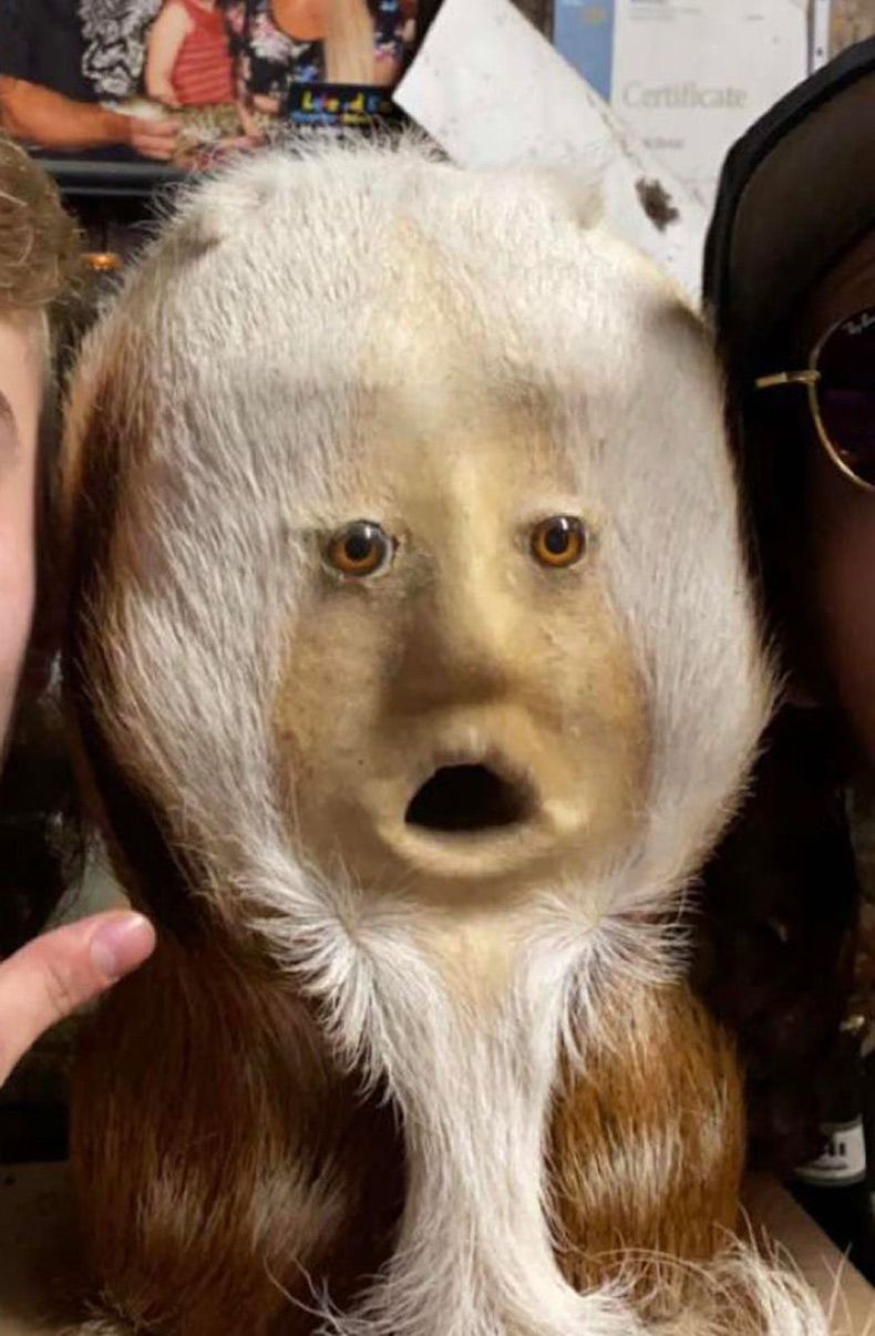 Gewoon een verzameling hilarische foto's #1559