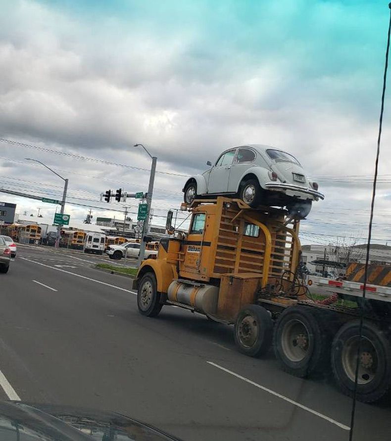 Gewoon een verzameling hilarische foto's #1561