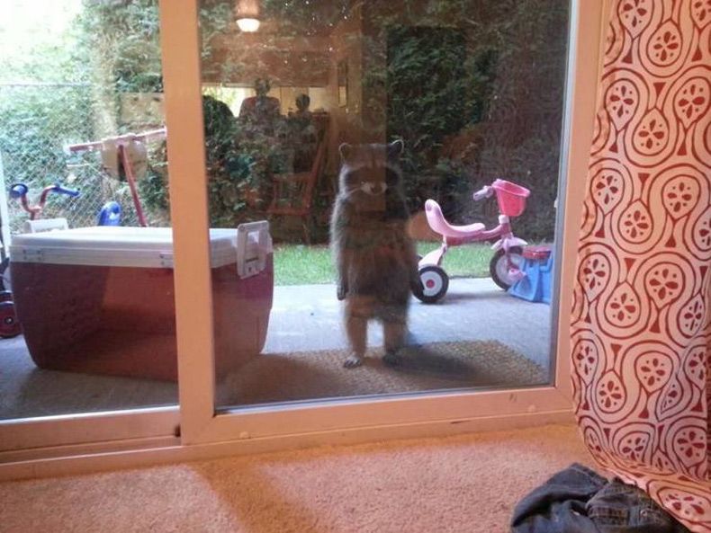 Gewoon een verzameling hilarische foto's #1561