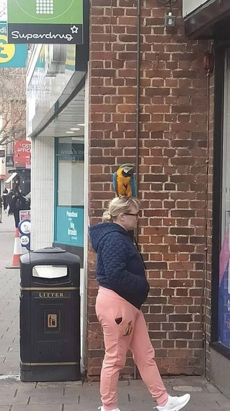 Gewoon een verzameling hilarische foto's #1561