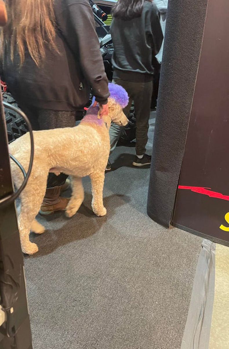 Gewoon een verzameling hilarische foto's #1561