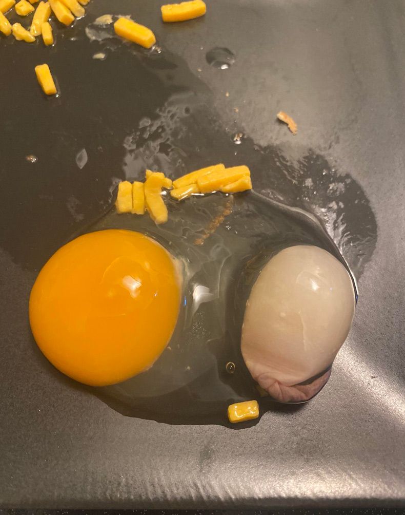 Gewoon een verzameling hilarische foto's #1561