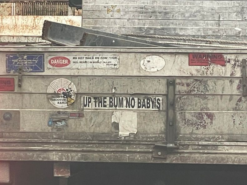 Gewoon een verzameling hilarische foto's #1561