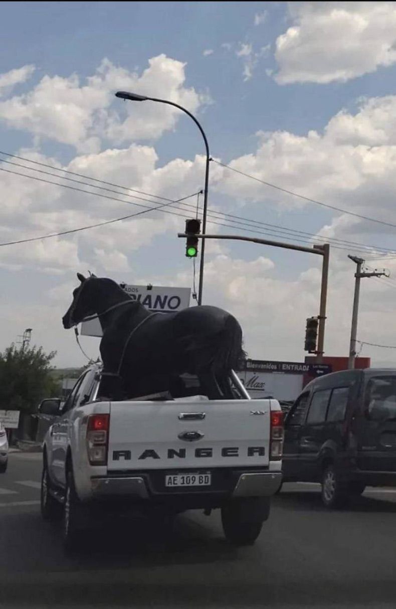 Gewoon een verzameling hilarische foto's #1562